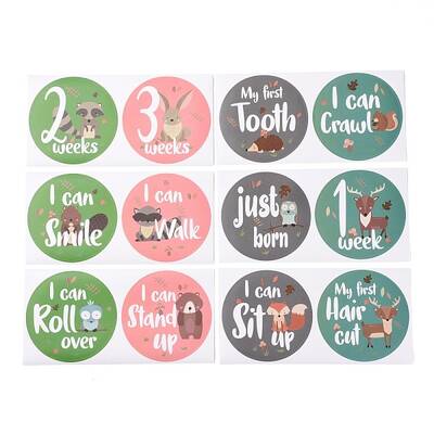 Newborn Monthly Milestone Stickers