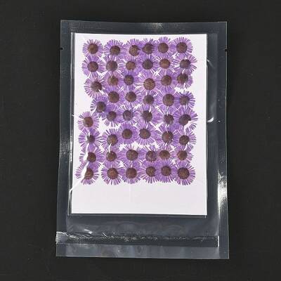 Centaurea Iberica Embossing Dried Flower