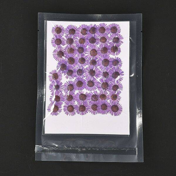 Centaurea Iberica Embossing Dried Flower