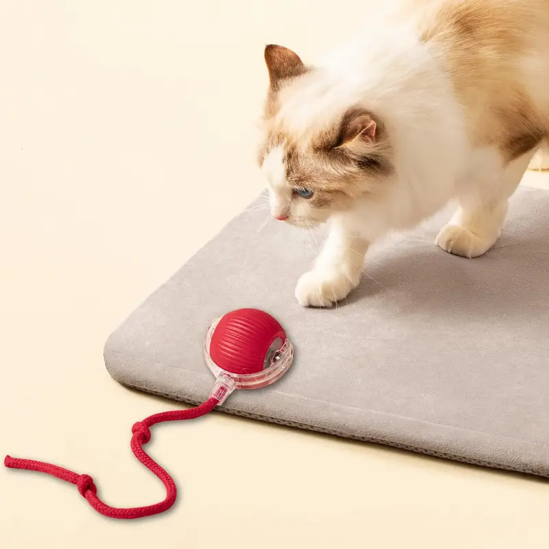 USB Rechargeable Dog Teaser Toy, Long Tail Toy Ball, Cat Training Toy, Tease Cat Training Toy, Suitable for All Cats, Vale...
