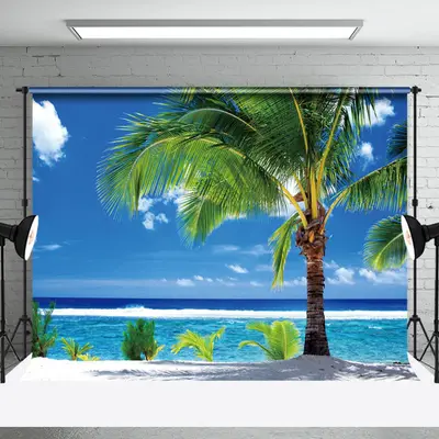 Sky Clouds Beach Palm Tree Summer Photo Backdrop - Aperturee