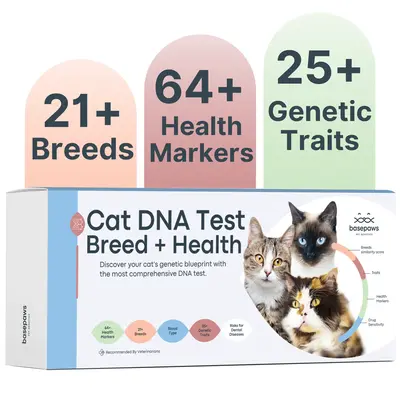Basepaws Cat DNA Test, Breed & Health Reports, Wildcat Index, 39 Health Markers, 17 Genetic Diseases - 1 Pack