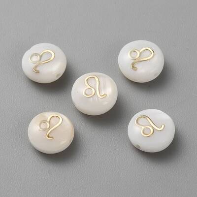 5Pcs Natural Freshwater Shell Beads