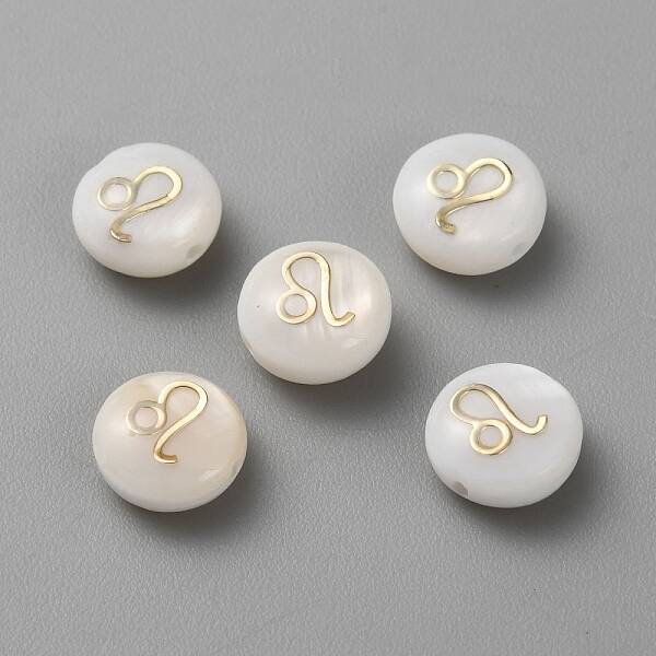 5Pcs Natural Freshwater Shell Beads