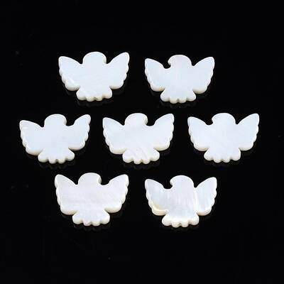 Natural Freshwater Shell Beads