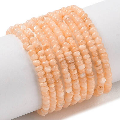 Natural Freshwater Shell Beads Strands