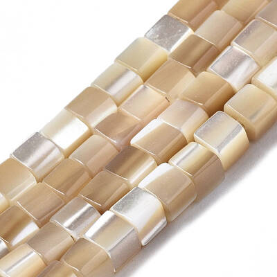 Natural Trochid Shell/Trochus Shell Beads Strands