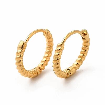 316 Stainless Steel Hoop Earrings for Women