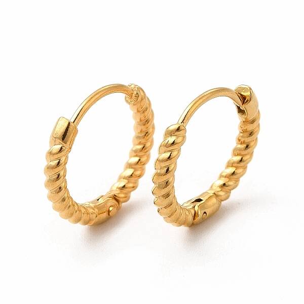 316 Stainless Steel Hoop Earrings for Women