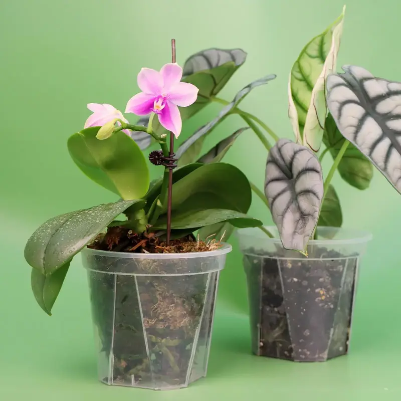 Clear Flower Pot, 6/12pcs/set Transparent Durable Resin Plants & Flower Pot with Air & Water Holes, Suitable for Indoor & Out...