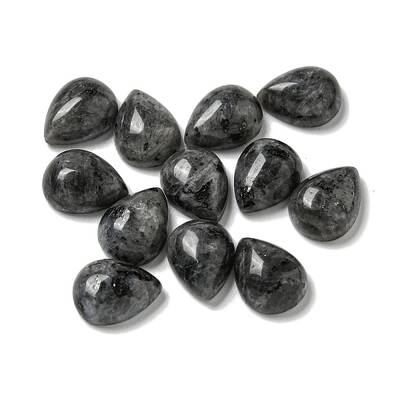 Natural Larvikite Cabochons