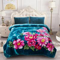 JML Vibrant Plush Blanket, 1 Ply Soft 3.7 lbs Soft Blanket-75\