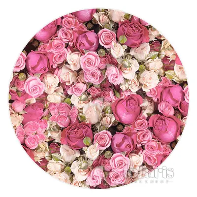 Aperturee Pink And Red Floral Wall Happy Birthday Circle Backdrop | Backdrop For Birthday Party | Cake Smash Backdrop | Name ...