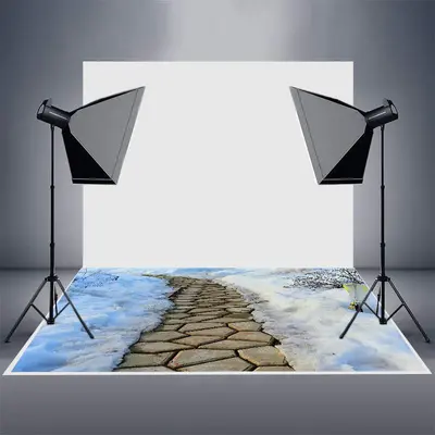 Garden Stone Path Winter Scenery Rubber Floor Mat - Aperturee