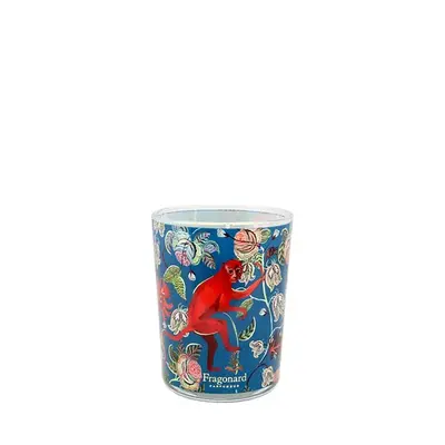 Fragonard Bois Dansant woody candle