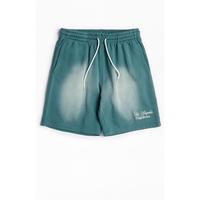 Pacsun Men's Green Potassium Fleece Volley Sweat Shorts