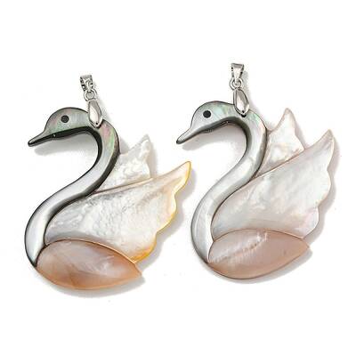 Natural Paua Shell & White Shell Pendants