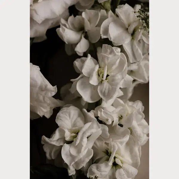 Love Letter - 2 | Size: 24