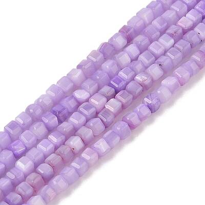 Natural Freshwater Shell Dyed Beads Strands