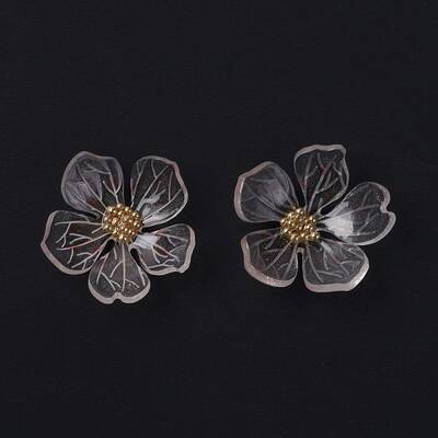 Transparent Resin Cabochons