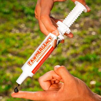 PawMergency Universal Antidote for Pet Poisons Chocolate Elimination - Activated Charcoal & Kaolin Paste Absorb Toxins S