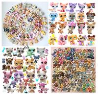 Diylpshome 5 Random Pets and 7 Random Accessories miniature cat and dog figures Pets and Accessories Set