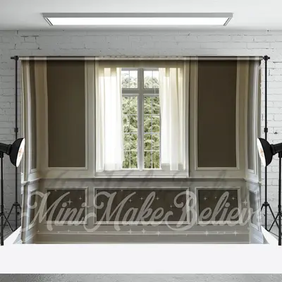 Elegant Curtain Window Gypsum Line Brown Backdrop - Aperturee