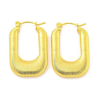 304 Stainless Steel Earrings