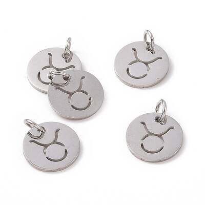 Non-Tarnish 304 Stainless Steel Charms