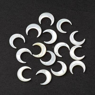 Natural White Shell Beads