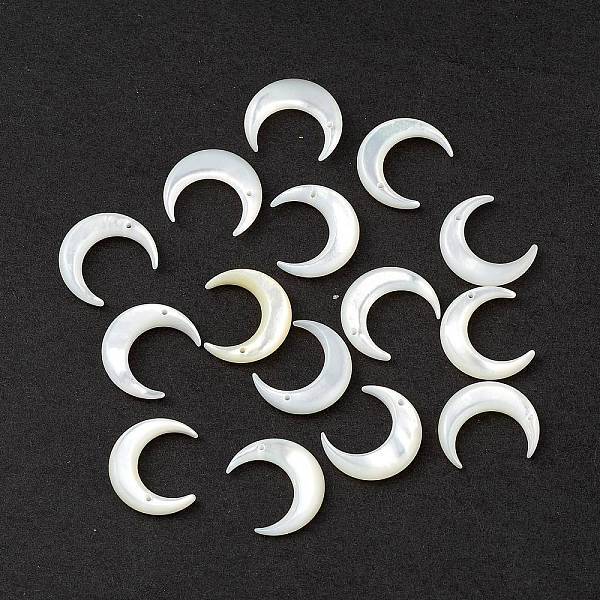 Natural White Shell Beads