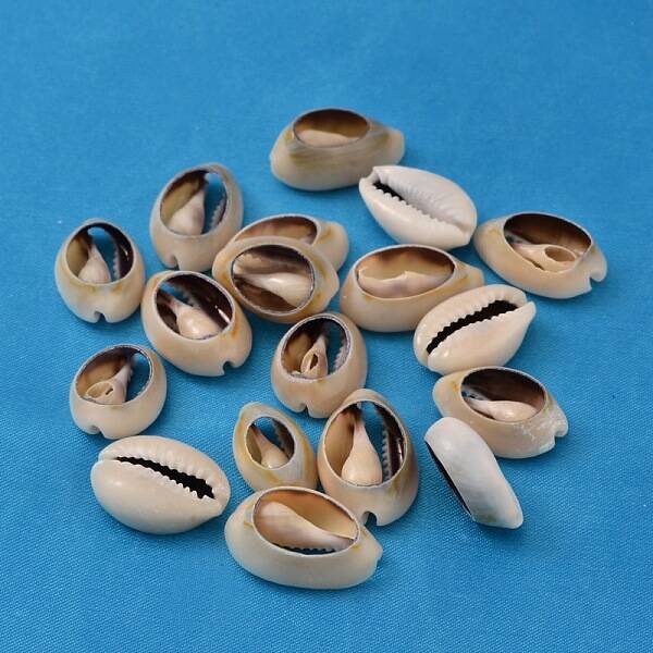 Natural Cowrie Shell Beads