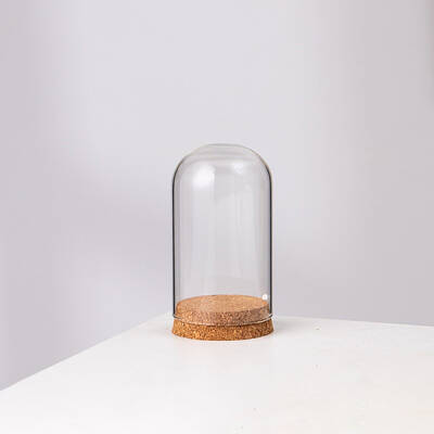 High Borosilicate Glass Dome Cover