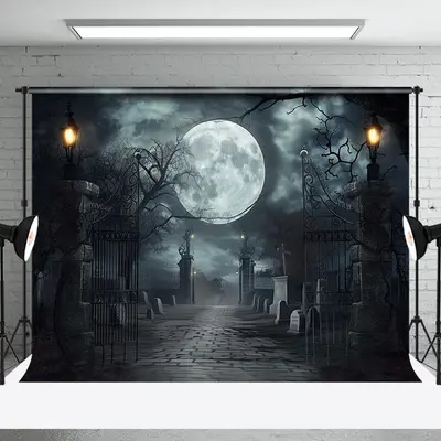 Scary Moon Night Gate Trunk Backdrop For Halloween