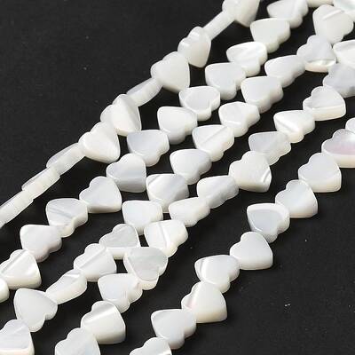 Natural Trochid Shell/Trochus Shell Beads Strands