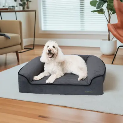 Romeo Orthopedic Dog Bed | Color: Champagne Beige | Size: X-Large 48