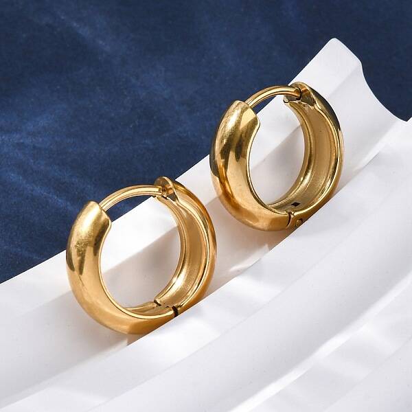 316 Surgical Stainless Steel Hoop Earrings for Women