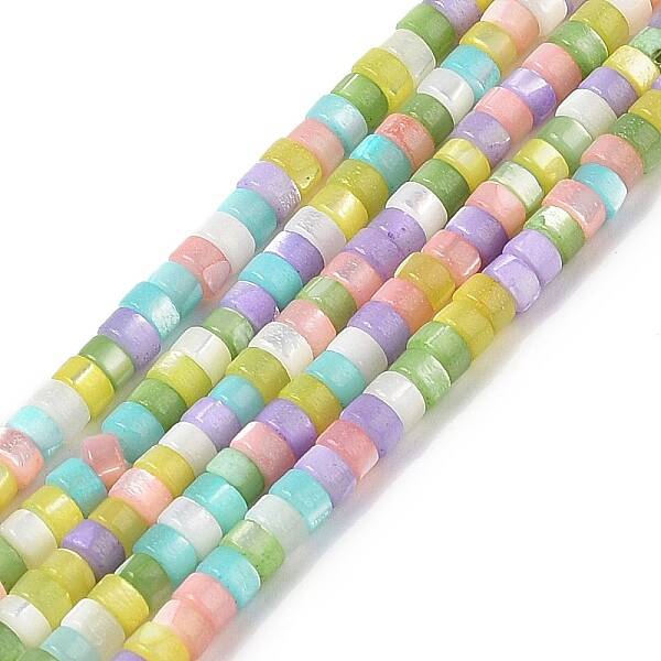 Natural Trochid Shell/Trochus Shell Beads Strands
