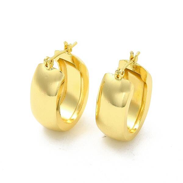 Brass Oval Thick Hoop Earrings for Women
