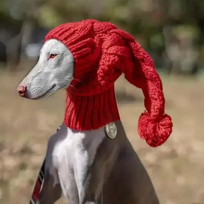 Cute Dog Hat, Warm Knitted Pet Hat, Pet Costume Accessories for Small Medium Large Dogs & Cats, Dog & Cat Clothing Supplies
