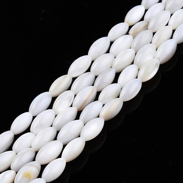 Natural Freshwater Shell Beads Strands