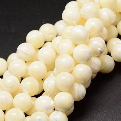 Natural Sea Shell Beads Strands