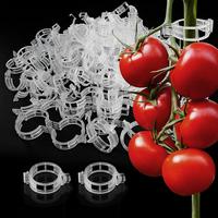 100-Piece Heavy-Duty Plant Support Clips – Versatile Tomato Trellis Clips | Ideal for Vines, Vegetables & Garden Plants –...