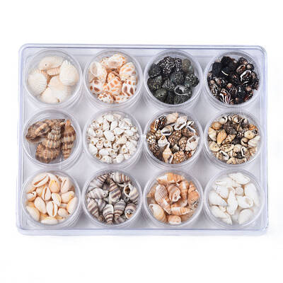 Sea Shell Pendants