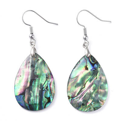 Abalone Shell/Paua Shell Dangle Earrings