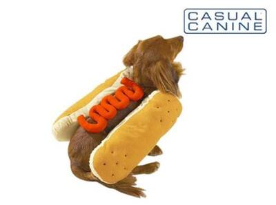 Hot Diggity Dog with Ketchup Dog Costume - L