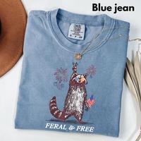 Comfort Colors Vintage Feral And Free T-shirt, Funny Usa T-shirt, Funny Raccoon T-shirt , 4th Of July, Raccoon Merica, Trendy...