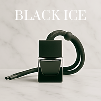 Hanging Air Freshener - Clean Air Co. - Black Ice, Leather, Cologne, and More - No Labels - For Cars and Trucks - Long Lastin...