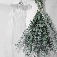 12 PCS Dried Eucalyptus Bundle for Shower - 17\