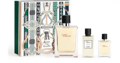 Terre D'Hermes Eau De Toilette Spray 100ml 3-piece Set
